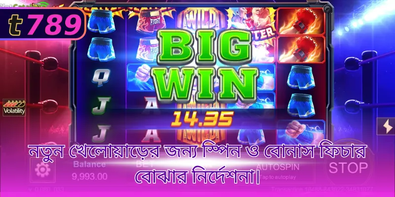 নতুন খেলোয়াড়ের জন্য স্পিন ও বোনাস ফিচার বোঝার নির্দেশনা।